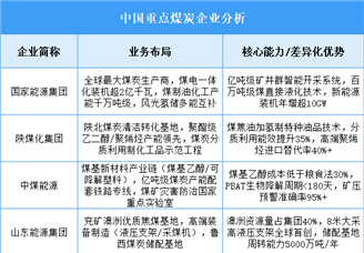 2025年中國(guó)煤炭重點(diǎn)企業(yè)業(yè)務(wù)布局預(yù)測(cè)分析（圖）