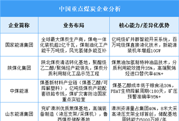 2025年中國(guó)煤炭重點(diǎn)企業(yè)業(yè)務(wù)布局預(yù)測(cè)分析（圖）