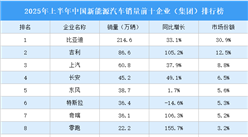 2025年上半年中國新能源汽車銷量前十企業(yè)（集團）排行榜（附榜單）