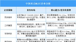 2025年中國MLCC重點企業(yè)業(yè)務(wù)布局預(yù)測分析（圖）