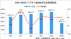 2025年上半年上海經(jīng)濟(jì)運(yùn)行情況分析：GDP同比增長(zhǎng)5.1%（圖）