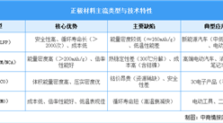 2025年中國正極材料行業(yè)市場前景預(yù)測研究報告（簡版）