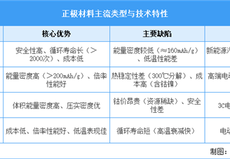2025年中国正极材料行业市场前景预测研究报告（简版）