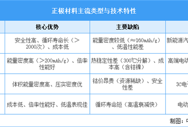 2025年中国正极材料行业市场前景预测研究报告（简版）
