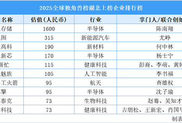 2025全球独角兽榜湖北上榜企业排行榜（附榜单）