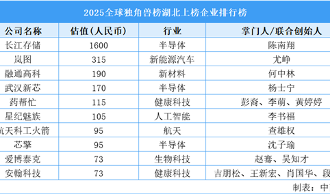 2025全球独角兽榜湖北上榜企业排行榜（附榜单）