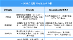 2025年中國氫燃料電池重點(diǎn)企業(yè)業(yè)務(wù)布局預(yù)測分析（圖）