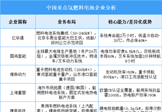 2025年中國氫燃料電池重點企業(yè)業(yè)務(wù)布局預(yù)測分析（圖）