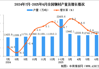 2025年6月全国钢材产量数据统计分析