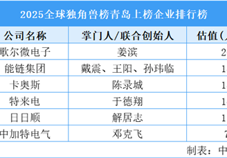 2025全球獨角獸榜青島上榜企業(yè)排行榜（附榜單）