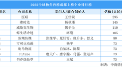 2025全球獨角獸榜成都上榜企業(yè)排行榜（附榜單）