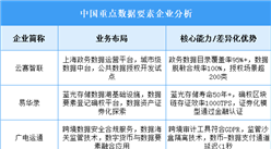 2025年中國數據要素重點企業(yè)業(yè)務布局預測分析（圖）