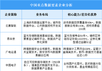 2025年中國(guó)數(shù)據(jù)要素重點(diǎn)企業(yè)業(yè)務(wù)布局預(yù)測(cè)分析（圖）