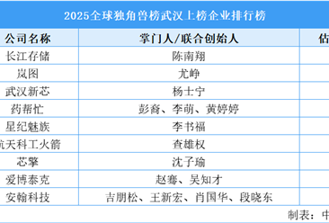 2025全球独角兽榜武汉上榜企业排行榜（附榜单）