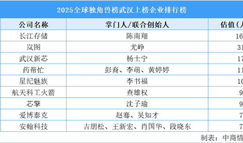 2025全球独角兽榜武汉上榜企业排行榜（附榜单）
