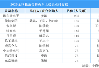 2025全球獨角獸榜山東上榜企業(yè)排行榜（附榜單）