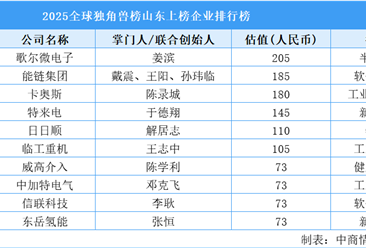 2025全球独角兽榜山东上榜企业排行榜（附榜单）
