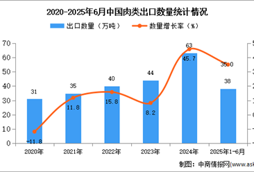 2025年1-6月中国肉类出口数据统计分析：出口量同比增长35%