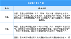 2025年中國氫能源行業(yè)市場前景預(yù)測研究報(bào)告（簡版）