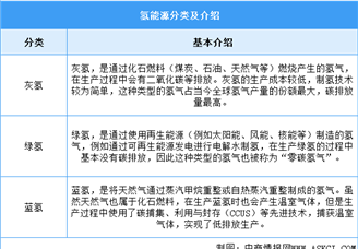 2025年中國(guó)氫能源行業(yè)市場(chǎng)前景預(yù)測(cè)研究報(bào)告（簡(jiǎn)版）