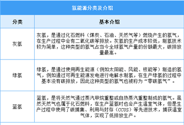 2025年中國(guó)氫能源行業(yè)市場(chǎng)前景預(yù)測(cè)研究報(bào)告（簡(jiǎn)版）