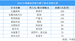 2025全球獨(dú)角獸榜合肥上榜企業(yè)排行榜（附榜單）