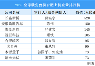 2025全球獨(dú)角獸榜合肥上榜企業(yè)排行榜（附榜單）