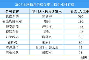 2025全球独角兽榜合肥上榜企业排行榜（附榜单）