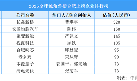 2025全球独角兽榜合肥上榜企业排行榜（附榜单）