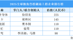 2025全球獨角獸榜湖南上榜企業(yè)排行榜（附榜單）