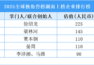 2025全球獨角獸榜湖南上榜企業(yè)排行榜（附榜單）