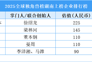 2025全球独角兽榜湖南上榜企业排行榜（附榜单）