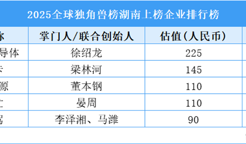 2025全球独角兽榜湖南上榜企业排行榜（附榜单）