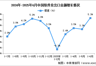 2025年1-6月中国软件业务收入及出口增速分析：出口保持正增长（图）