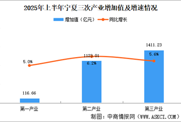 2025年上半年宁夏经济运行情况分析：GDP同比增长5.8%（图）