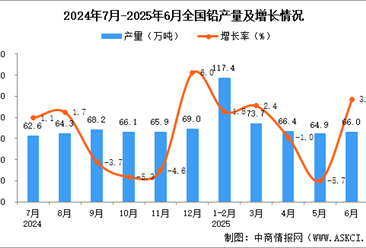 2025年6月全国铅产量数据统计分析