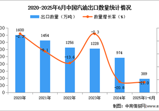 2025年1-6月中国汽油出口数据统计分析：出口量同比下降21%