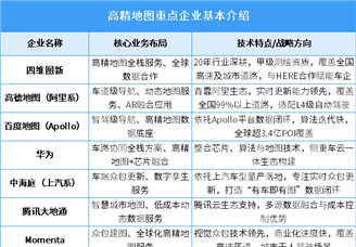 2025年中國高精地圖市場規(guī)模及企業(yè)布局情況預(yù)測分析（圖）