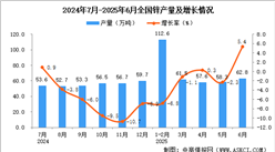 2025年6月全国锌产量数据统计分析