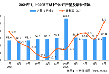2025年6月全国锌产量数据统计分析