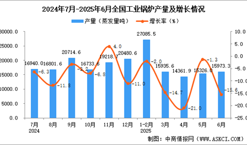 2025年6月全国工业锅炉产量数据统计分析