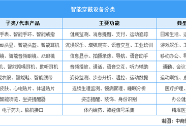 2025年中國智能穿戴設(shè)備行業(yè)市場前景預(yù)測研究報告（簡版）