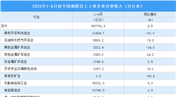 2025年1-6月全國規(guī)上工業(yè)企業(yè)營業(yè)收入同比增長2.5%（圖）
