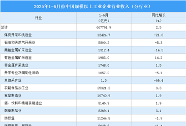 2025年1-6月全國規(guī)上工業(yè)企業(yè)營業(yè)收入同比增長2.5%（圖）