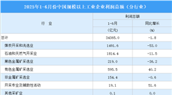 2025年1-6月全國規(guī)上工業(yè)企業(yè)利潤總額情況：制造業(yè)利潤總額同比增長4.5%（圖）