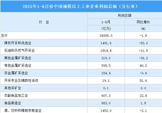 2025年1-6月全國規(guī)上工業(yè)企業(yè)利潤總額情況：制造業(yè)利潤總額同比增長4.5%（圖）