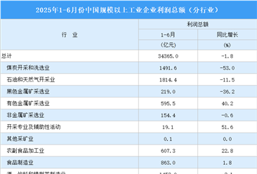 2025年1-6月全國規(guī)上工業(yè)企業(yè)利潤總額情況：制造業(yè)利潤總額同比增長4.5%（圖）