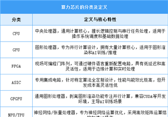 2025年中國算力芯片行業(yè)市場前景預測研究報告（簡版）