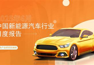 2025年6月中國新能源汽車行業(yè)月度報告（完整版）