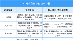 2025年中国沥青焦重点企业业务布局预测分析（图）